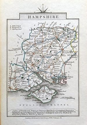 Antique Map HAMPSHIRE John Cary Original Hand Coloured County Map c1789