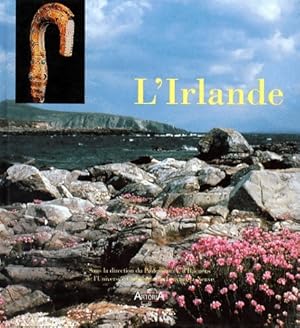 Seller image for L'Irlande - Albert D'Haenens for sale by Book Hmisphres