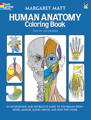 Seller image for Human Anatomy Coloring Book (Dover Children's Science Books) by Matt, Margaret, Ziemian, Joe [Paperback ] for sale by booksXpress