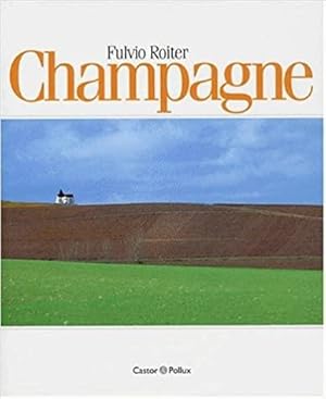 Bild des Verkufers fr Champagne zum Verkauf von Usatopoli libriusatierari