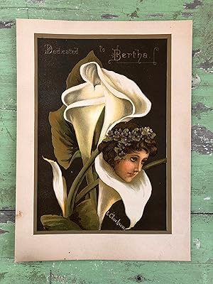 Seller image for Plate from ?Violet among the Lilies? by L. Clarkson for sale by Under the Covers Antique Books