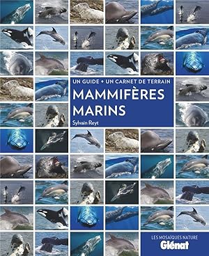 mammifères marins