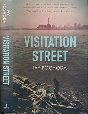 Image du vendeur pour Visitation Street mis en vente par Barter Books Ltd