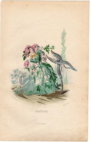 Antique Print-FLOWERS PERSONIFIED-WOMAN AS HAWTHORN-PRUNING-Grandville-1852