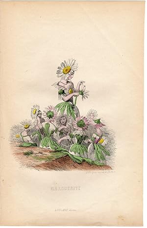 Antique Print-FLOWERS PERSONIFIED-DAISY-MARGUERITE-Grandville-1852