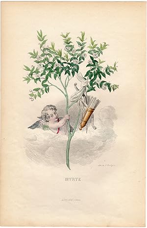 Antique Print-FLOWERS PERSONIFIED-MYRTLE-CUPID-Grandville-1852