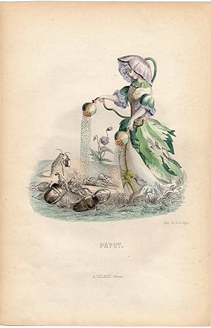 Antique Print-FLOWERS PERSONIFIED-WOMAN AS PAPAVER-POPPY-OPIUM-Grandville-1852