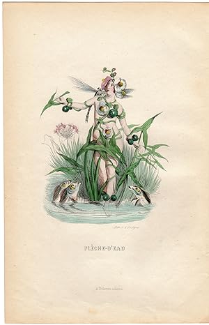 Antique Print-FLOWERS PERSONIFIED-WOMAN AS SAGITTARIA-ARROWHEAD-Grandville-1852