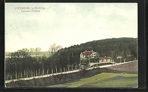 Ansichtskarte Sternberg i. Mecklbg., Restaurant Heidelberg aus der Vogelschau