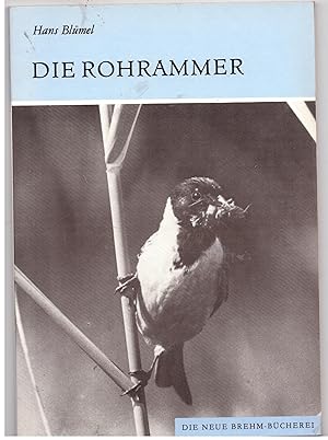 Bild des Verkufers fr Die Rohrammer. Emberiza schoeniclus zum Verkauf von Bcherpanorama Zwickau- Planitz