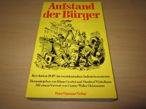 Imagen del vendedor de Aufstand der Brger. Revolution 1849 im westdeutschen Industriezentrum a la venta por Versandantiquariat Schfer