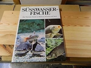 Seller image for Ssswasserfische. Die Welt der Fische in Bchen, Flssen und Seen for sale by Versandantiquariat Schfer