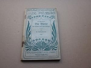 Die Biene - ihr Leben und ihre Pflege