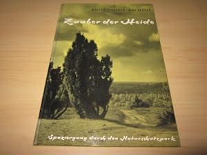 Seller image for Zauber der Heide. Spaziergang durch den Naturschutzpark for sale by Versandantiquariat Schfer