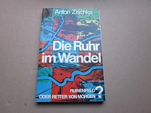 Bild des Verkufers fr Die Ruhr im Wandel. Ruinenfeld oder Retter von morgen? zum Verkauf von Versandantiquariat Schfer