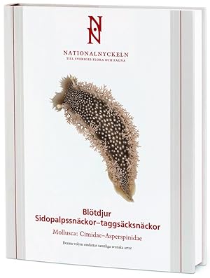 Mollusca: Cimidae - Asperspinidae: Blötdjur: Sidopalpssnäckor  taggsäcksnäckor (Nationalnyckeln ...