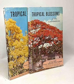 Tropical blossoms of the Caribbean + Tropical trees found in the Caribbean South America Central ...