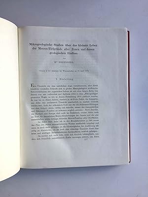 Mikrogeologische Studien über das kleinste Leben der Meeres-Tiefgründe aller Zonen und dessen geo...