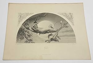 Ariel, The Tempest 1873 Shakespeare Original Engraving