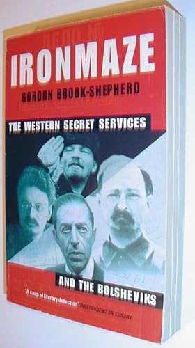 Iron Maze: The Western Secret Services and the Bolsheviks