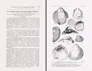 Image du vendeur pour New Zealand fossil and recent Cardiidae (Mollusca). In 8vo, offp., pp. 18 with 3 pls. Offprint from Trans. Roy. Soc. N. Zeal., 74(3) mis en vente par NATURAMA
