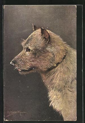 Bild des Verkufers fr Knstler-Ansichtskarte August Mller - Mnchen: Portrait eines Mischlingshundes zum Verkauf von Bartko-Reher