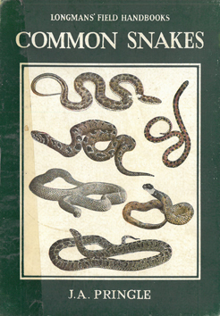 Common Snakes of South Africa