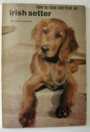 HOW TO RAISE AND TRAIN AN IRISH SETTER