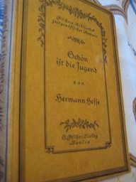Bild des Verkufers fr Schn ist die Jugend Zwei Erzhlungen zum Verkauf von Alte Bcherwelt