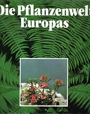Bild des Verkufers fr Die Pflanzenwelt Europas. Streifzge durch Florengebiete zum Verkauf von Antiquariat Jterbook, Inh. H. Schulze