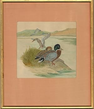M.E. Burbage - Mid 20th Century Watercolour, Ducks on the Lake