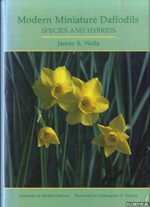 Bild des Verkufers fr Modern Miniature Daffodils zum Verkauf von Klondyke