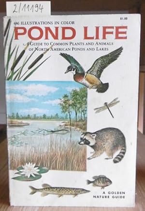 Seller image for Pond Life. A Guide to common Plants and Animals of North American Ponds and Lakes. for sale by Versandantiquariat Trffelschwein