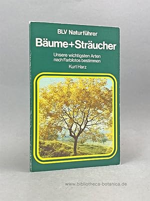 Bild des Verkufers fr Bume + [und] Strucher. Unsere wichtigsten Arten nach Farbfotos bestimmen. zum Verkauf von Bibliotheca Botanica