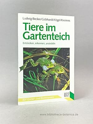 Imagen del vendedor de Tiere im Gartenteich. Entdecken, erkennen, ansiedeln. a la venta por Bibliotheca Botanica