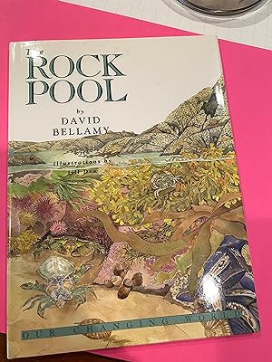 Seller image for THE ROCK POOL our changing world for sale by Happy Heroes