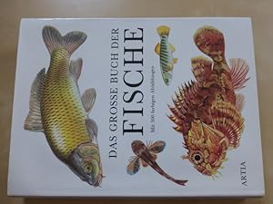 - Das Grosse Buch Der Fische. Illustrationen von Kvetoslav Hisek (Übertragen von Günter Brehmer. ...