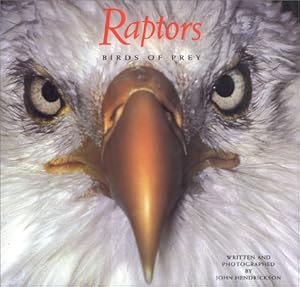 Imagen del vendedor de Raptors: Birds of Prey a la venta por Gabis Bcherlager