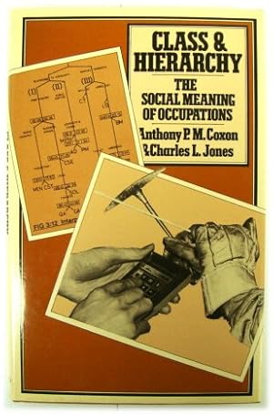 Bild des Verkufers fr Class and Hierarchy: The Social Meanings of Occupations zum Verkauf von PsychoBabel & Skoob Books