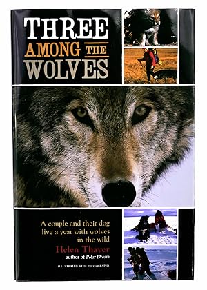 Seller image for Three Among the Wolves: A Couple and Their Dog Live a Year with Wolves in the Wild for sale by Black Falcon Books