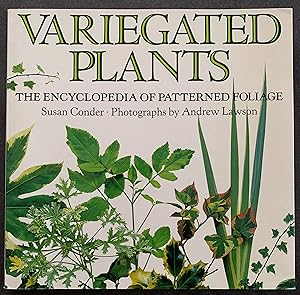 Immagine del venditore per Variegated Plants: The Encyclopedia of Patterned Foliage venduto da Paradox Books USA