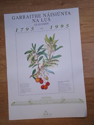 National Botanic Gardens Glasnevin Bicentenary Poster 1795-1995