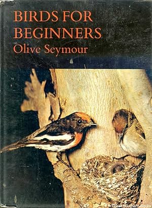 Birds for Beginners