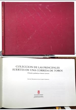 COLECCIÓN DE LAS PRINCIPALES SUERTES DE UNA CORRIDA DE TOROS.