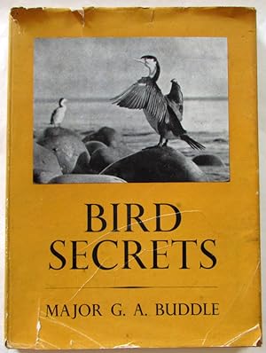 Bird Secrets