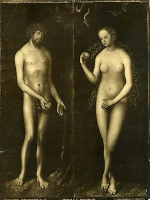 Braunschweig Arts Painting by Cranach Adam & Eve Old Bruckmann Photo 1880