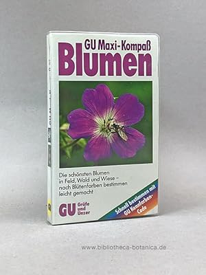 Seller image for GU Maxi-Kompa Blumen. Die schnsten Blumen in Feld, Wald und Wiese - nach Bltenfarben bestimmen leicht gemacht. for sale by Bibliotheca Botanica
