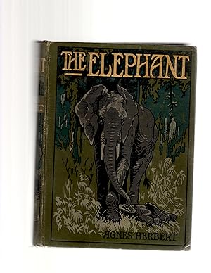 The Elephant