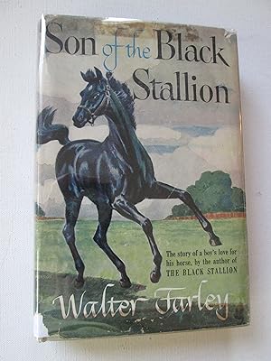 Bild des Verkufers fr Son of Black Stallion zum Verkauf von Chequered Past