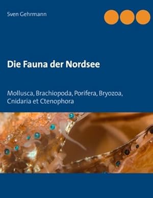 Bild des Verkufers fr Die Fauna der Nordsee : Mollusca, Brachiopoda, Porifera, Bryozoa, Cnidaria et Ctenophora zum Verkauf von AHA-BUCH GmbH